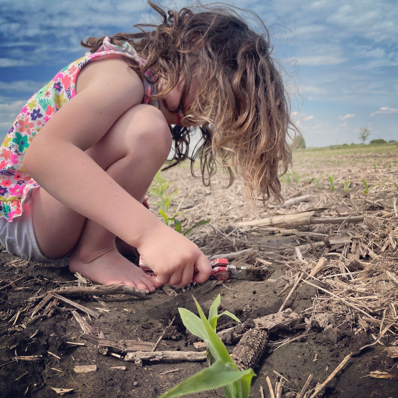 CropWatchers 2.0: Crops taking hits like Rocky Balboa